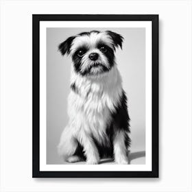 Affenpinscher B&W Pencil Dog Art Print