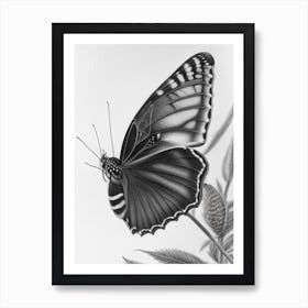 Black Swallowtail Butterfly Greyscale Sketch 3 Art Print
