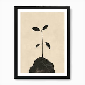 Plant On A Rock Art Print