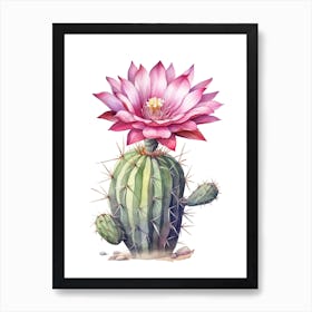 Acanthocalycium Cactus Watercolour Drawing 3 Art Print