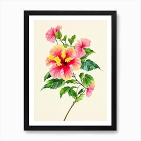 Hibiscus Vintage Flowers Flower Art Print