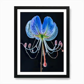 Blue Lily Art Print