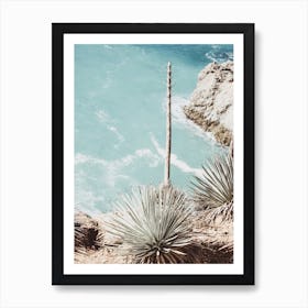 Agave Near Ocean Art Print