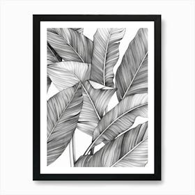 Black And White Drawing Of Banana Leaves Art Print