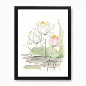 Lotus Flowers In Garden Pencil Illustration 4 Art Print