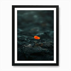 Single Flower On A Rock 3 Poster