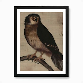 Chinese Owl Art Print