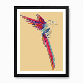 Hummingbird002 Art Print