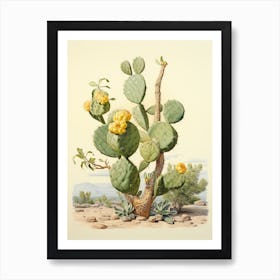 Vintage Cactus Illustration Lemon Ball Cactus 1 Art Print
