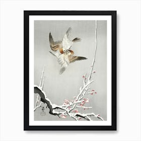 Sparrows And Snowy Plum Tree (1900 1936), Ohara Koson Art Print