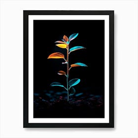 Plant In The Dark 42 Art Print