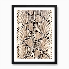 Snake Skin Art Print
