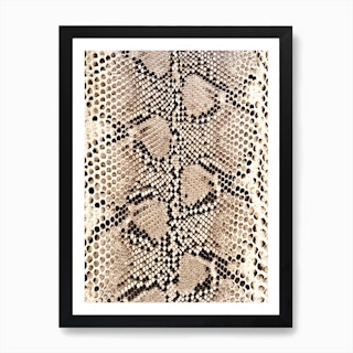 Snake Skin Art Print