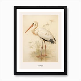 Vintage Bird Drawing Stork 2 Poster Art Print