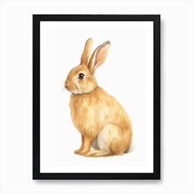 American Fuzzy Lop Rabbit Kids Illustration 1 Art Print