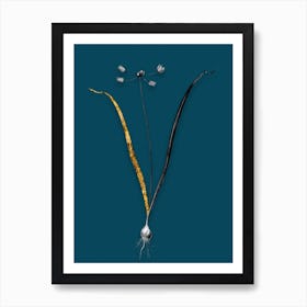 Vintage Allium Scorzonera Folium Black and White Gold Leaf Floral Art on Teal Blue n.0231 Art Print