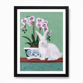 Rabbit And Orchid Art Print