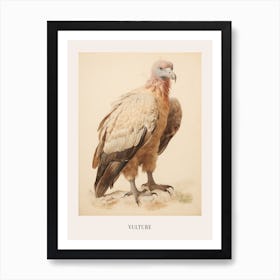 Vintage Bird Drawing Vulture 3 Poster Art Print