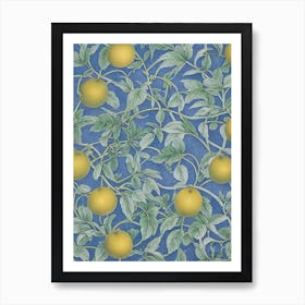 Pummelo Vintage Botanical Fruit Art Print