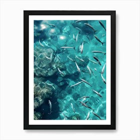 Fishes In The Sea Art Print