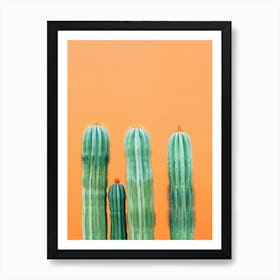 Cactus On Orange Background 2 Art Print