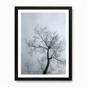 Bare Tree 1 Art Print