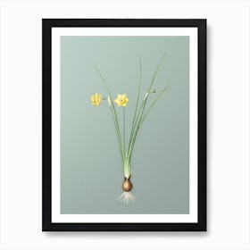 Vintage Daffodil Botanical Art on Mint Green n.0172 Art Print