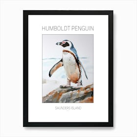 Humboldt Penguin Saunders Island Watercolour Painting 1 Poster Art Print