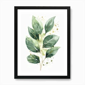 Eucalyptus 19 Art Print