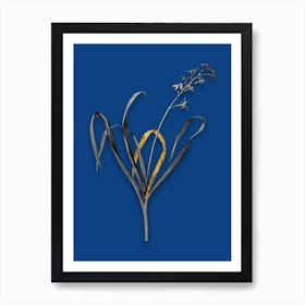 Vintage Dutch Hyacinth Black and White Gold Leaf Floral Art on Midnight Blue n.0399 Art Print