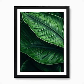 Green Leaf Background Art Print