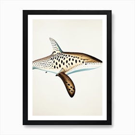 Leopard Shark 2 Vintage Art Print