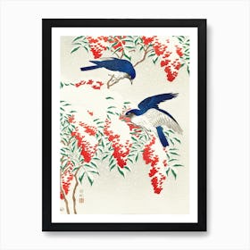 Flycatchers On A Nandina Bush, Ohara Koson Vintage Japanese Art Print