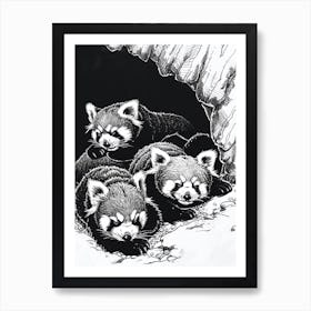 Red Panda Family Sleeping In A Cave Ink Illustration 3 Art Print