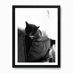 Cat On A Couch  Art Print