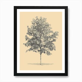 Maple Tree Minimalistic Drawing 1 Art Print