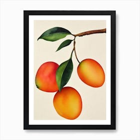 Mango 1 Watercolour Fruit Painting Fruit Art Print