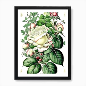 White Roses Deco Art Art Print