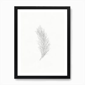 Pine Branch Sketch 1 Art Print