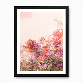 Bougainvillea Art Print