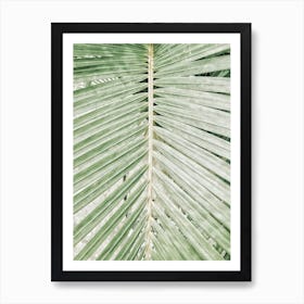 Palm Leaf 7 Art Print