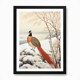 Bird Illustration Pheasant 2 Art Print