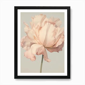 Floral Illustration Tulip 4 Art Print