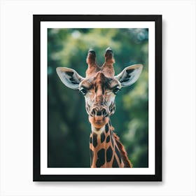 Giraffe 5 Art Print