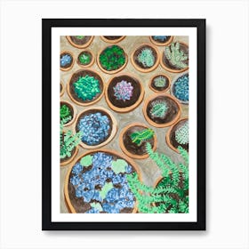 Succulents Art Print