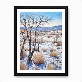 Joshua Tree National Park United States 3 Art Print