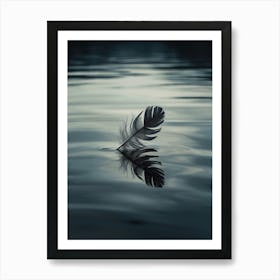 Feather In Water 1 Art Print