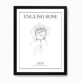 English Rose Dew Line Drawing 1 Poster Art Print
