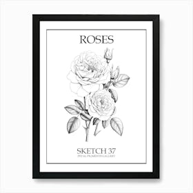 Roses Sketch 37 Poster Art Print