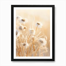 Boho Dried Flowers Oxeye Daisy 1 Art Print